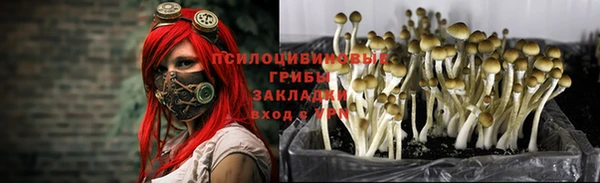 круглые Алексин