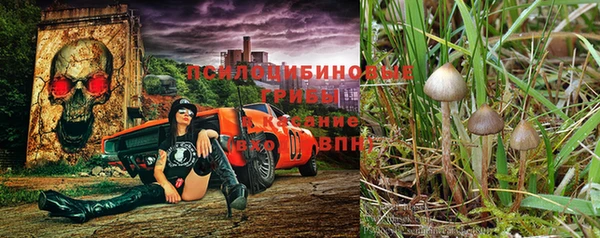 эйфоретик Алексеевка